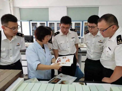 面向成年人的鉴定人培训服务简介