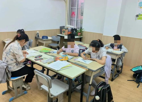 成年人的暑假“回炉” 十万元一对一托管班背后的教育焦虑与自我重塑